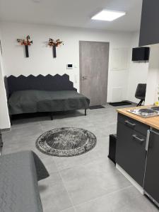 a living room with a bed and a table and a rug at Ruhige Apartments an der Donau - Schwaben Living in Munderkingen +4 photos
