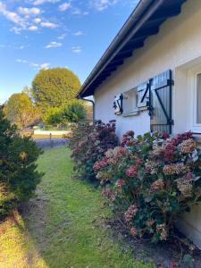 eine Reihe von Blumen an der Seite eines Gebäudes in der Unterkunft Maison chaleureuse in Mézos + 2 Fotos