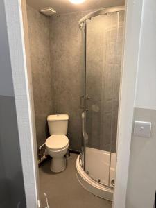 a bathroom with a toilet and a shower at Cosy en-suite room, city centre, Peak District in Neepsend