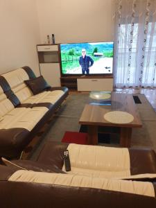 a living room with two couches and a flat screen tv at Villa Big Mama in Živinice