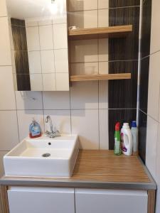a bathroom counter with a white sink and shelves at Villa Big Mama in Živinice