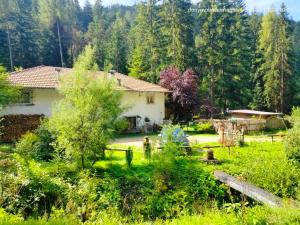 a house in the middle of a yard at MolinDeiMaghi in Fondo
