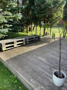 Vườn quanh Markuciai Studio