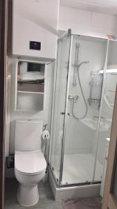 Un baño con inodoro blanco y ducha. en Le Balcon du Soleil studio climatisé Wifi coin nuit lit douillet proche cure et étang, en Balaruc-les-Bains