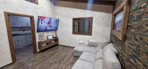 Una sala de estar con un sofá y un televisor. en Casafina, en Buzanada