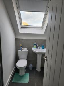 a bathroom with a toilet and a sink with a skylight at Trinity Apartment in Highbridge