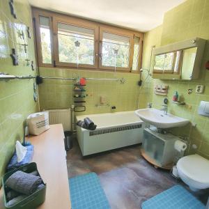 Koupelna v ubytování Ferienhaus Familie Sterner