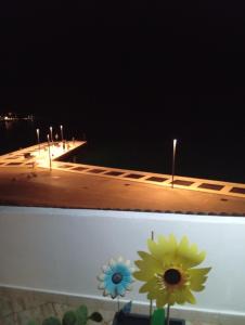 Φωτογραφία από το άλμπουμ του Apartmani Sollei σε Petrcane