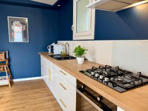 a kitchen with a stove and a blue wall at L'Abalone 3 Étoiles in Aizenay +14 photos