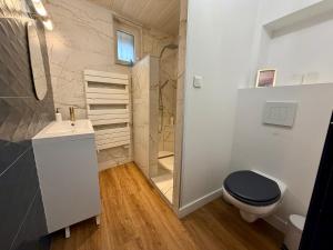 a bathroom with a toilet and a sink and a shower at L'Abalone 3 Étoiles in Aizenay