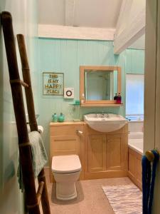 ein Badezimmer mit Toilette, Waschbecken und Spiegel in der Unterkunft Country Cottage and Converted Barn Suite in Cholderton