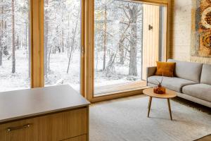 サーリセルカにあるAinur Villasのソファと窓のあるリビングルーム