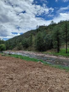 a river in the middle of a field with trees at Tello de luks in Chihuahua