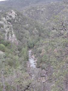 a river in the middle of a mountain with trees at Tello de luks in Chihuahua +4 photos