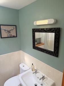 a bathroom with a toilet and a sink and a mirror at Friar's Rest - Beauly Village in Beauly +28 photos
