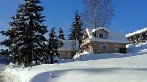 ein schneebedecktes Haus mit einem Weihnachtsbaum in der Unterkunft Chalets zum Latschen in Mauth