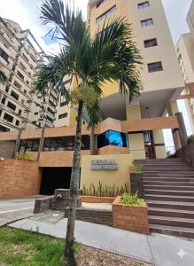 a palm tree in front of a building at Excelente lugar para descansar en Venezuela in Valencia