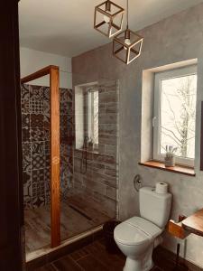 a bathroom with a toilet and a shower at Casa meșterului in Sohodol +39 photos