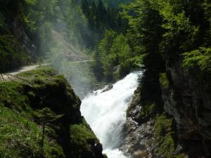 Príroda v okolí apartmánu
