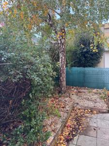 Zahrada ubytování Appartement cosy rez de jardin Kaligone + 8 fotografií