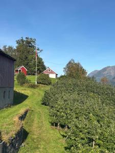 Una granja con una colina cubierta de hierba con una bandera en ella. en Jåstad Gjestetun, en Jåstad