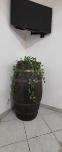 eine Pflanze in einem Fass, die vor einem Fernseher sitzt in der Unterkunft Villa Ilaria casa vacanza Capo Vaticano - Tropea in Capo Vaticano
