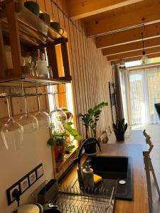a kitchen with a sink and a refrigerator at Domek Mecenasa in Nieledwia +11 photos