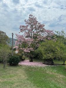 Zahrada ubytování Chácara Araxá