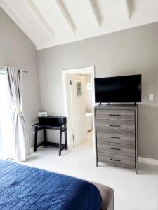 TV a/nebo společenská místnost v ubytování Brand New Luxurious Townhouse