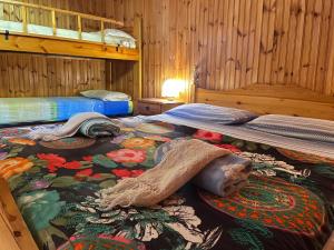twee bedden in een kamer met houten wanden bij Nido delle Alpi by SMART-HOME in Pietraporzio +34 foto's