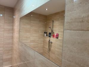 a shower with a glass door in a bathroom at Apartament Słoneczny in Zamość +24 photos