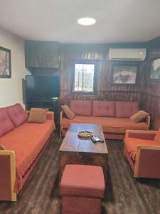Una sala de estar con dos sofás y una mesa. en Holiday Home Vila Kikovi, en Dragolj