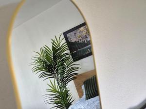 a mirror reflection of a plant in a room at Quiet & Modern Studio near Tram & River Lech in Augsburg +5 photos