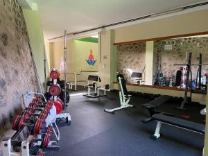 una palestra con diversi tapis roulant e macchine in una stanza di Peace Rooftop Tenerife a Tabaiba