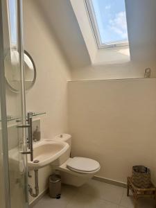 Un baño con inodoro, lavabo y tragaluz. en Kleine Oase im Grünen!, en Heiligenhaus