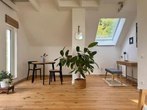 una sala de estar con una maceta y una mesa en Kleine Oase im Grünen!, en Heiligenhaus 13 fotos más