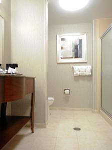 A bathroom at Hampton Inn & Suites Craig, CO
