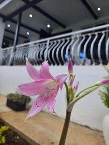 Fotografie z fotogalerie ubytování Chapel on 9 v destinaci Ixopo