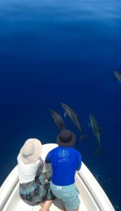 two people sitting on a boat looking at sharks in the ocean at Dhoani Maldives Guesthouse in Kendhoo +32 photos