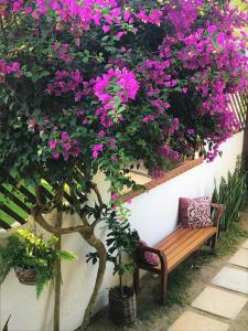 Zahrada ubytování Villa Puglia Jeri + 76 fotografií