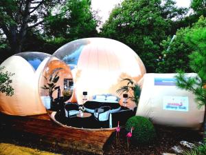 three bubble domes with a bedroom in them at Bubble Glamping Sicily in Trecastagni
