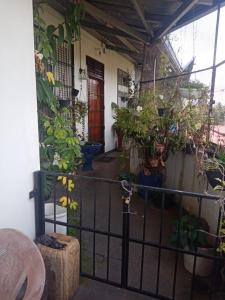 Μπαλκόνι ή βεράντα στο Green View