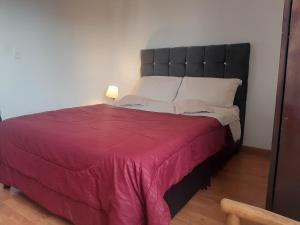 a bedroom with a large bed with a red blanket at Acevedo Inn Cerca a la embajada Americana , Corferias, G 12, U Nacional, Movistar Arena , Claro Eventos, a 30 minutos del Aeropuerto, Cerca al Can y a la Clinica Meredy contacto trescientosdoscautroseistrescerosieteochoseis in Bogotá