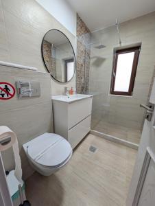 a bathroom with a toilet and a sink and a mirror at La Belle Mouette in Somova