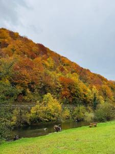 a park with a pond and a hill with trees at River Resort Vinac Jajce in Jajce