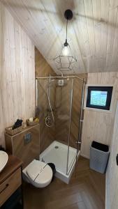 a bathroom with a shower and a toilet and a sink at ForRest будинок з чаном in Moshchun