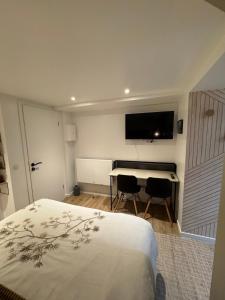 a bedroom with a bed and a desk and a television at Elsass canal studio in Strasbourg