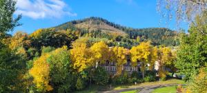 una casa en medio de una montaña con árboles en Niebieski apartament pod Borową Górą, en Jedlina-Zdrój