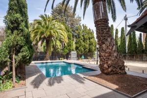een zwembad met een palmboom in een tuin bij Poolside at Kindrogan - St Kilda in Melbourne