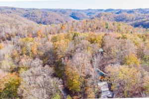 eine Luftansicht eines Waldes im Herbst in der Unterkunft Hot Tub & WiFi - Cozy Canopy - Red River Gorge KY in Slade